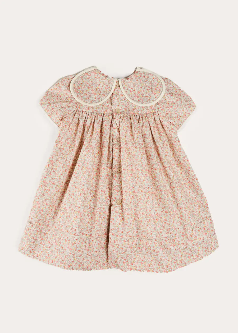 Mabel Floral Statement Collar Short Sleeve Dress in Coral (12mths-10yrs) DRESSES from Pepa London