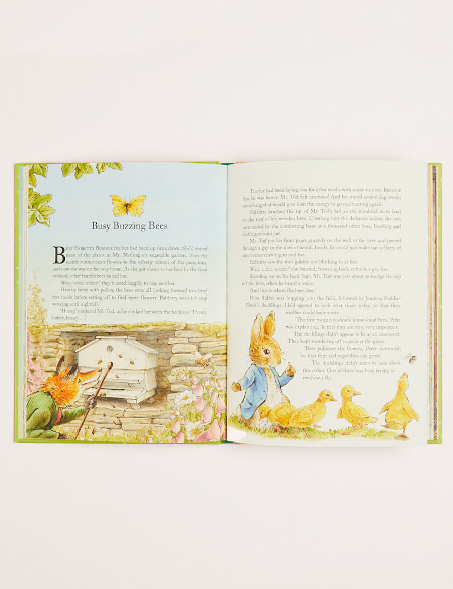 Peter Rabbit Tales from the Countryside Book in Green Books  from Pepa London