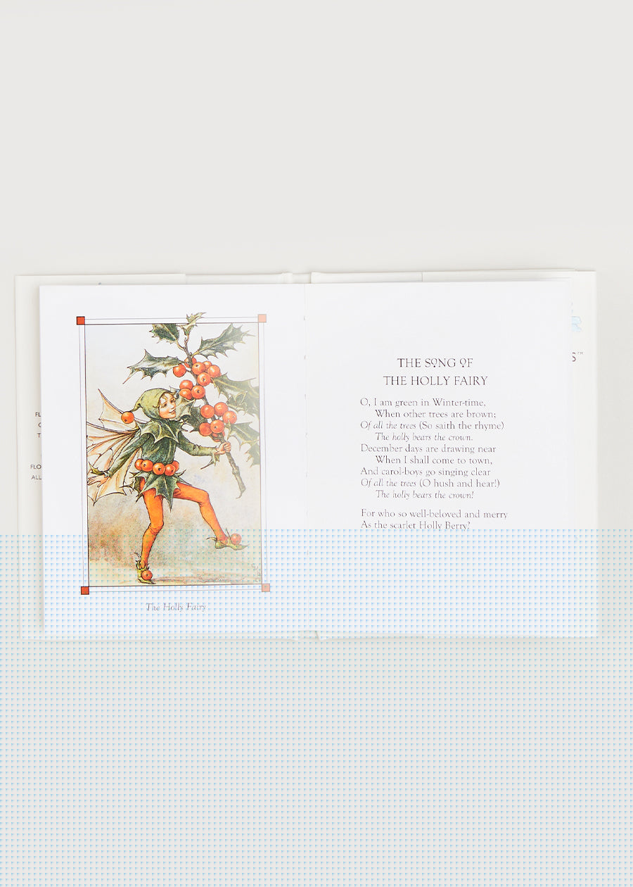 Winter Flower Fairies Book in White BOOKS from Pepa London